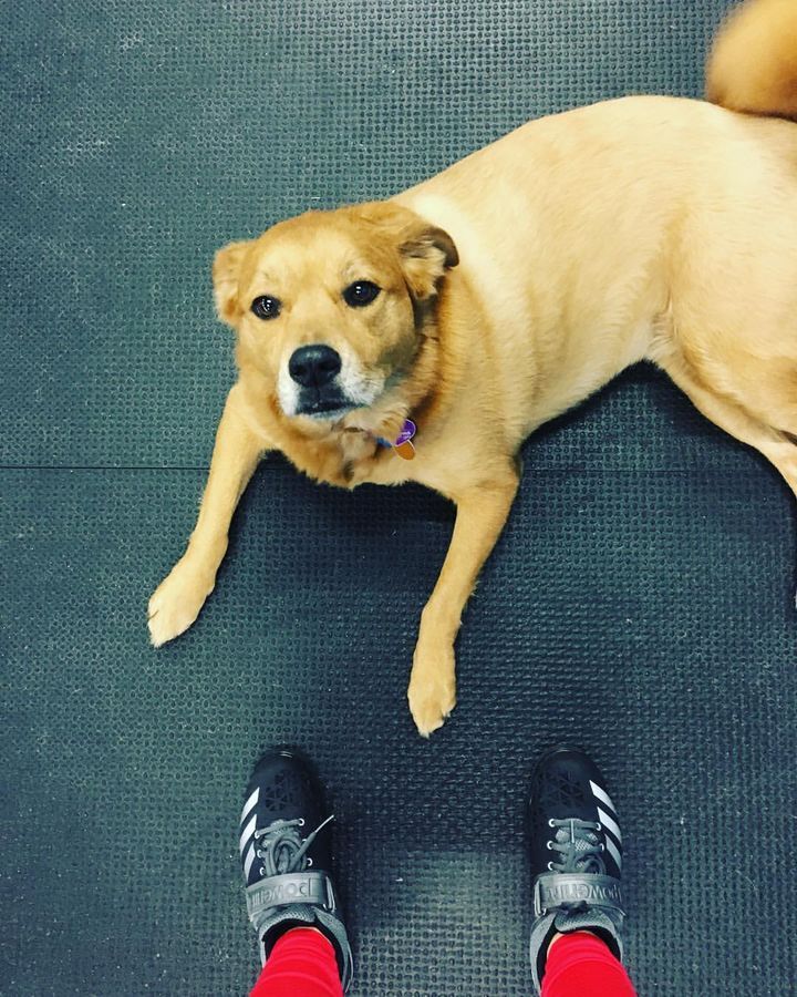 Image post by @mandimurakami on Facebook