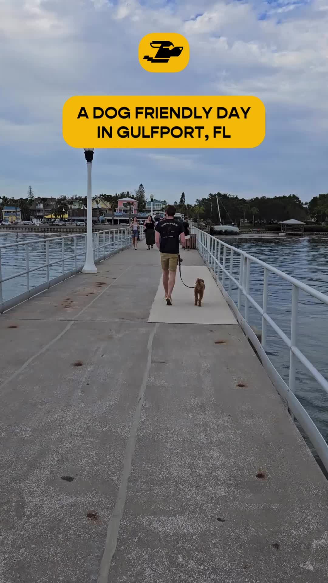 Video post by @jetsetpetsguide on TikTok