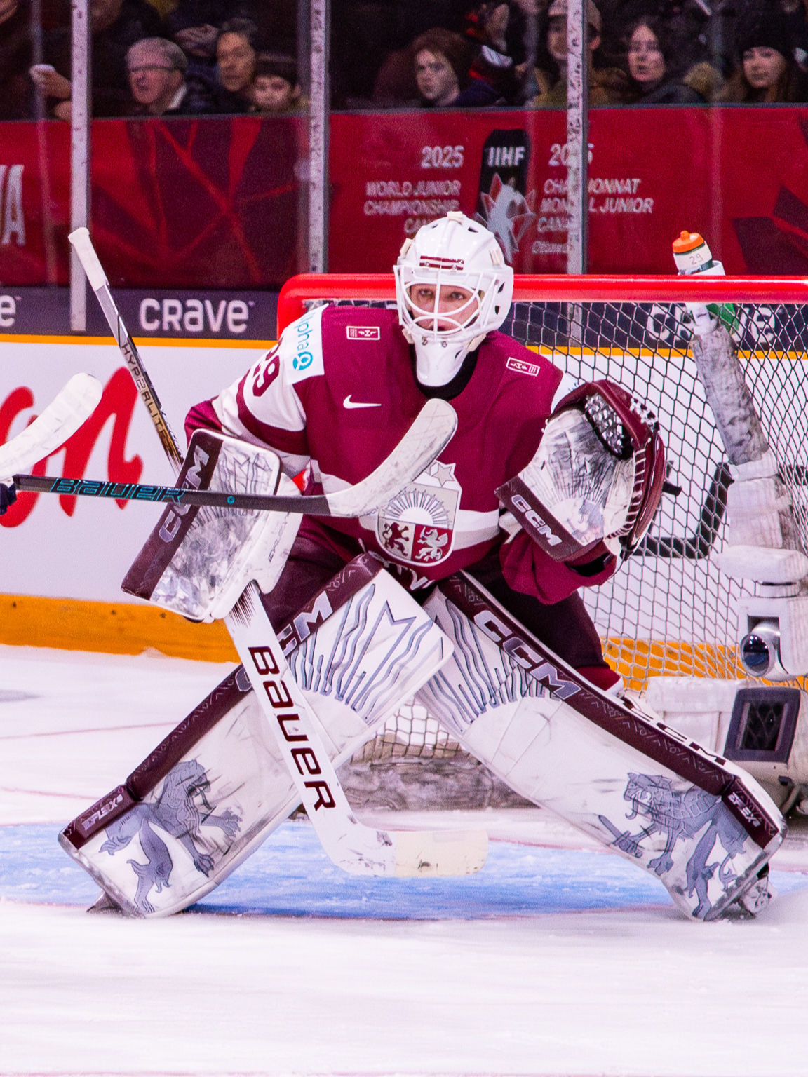 Video post by @flohockeytv on TikTok