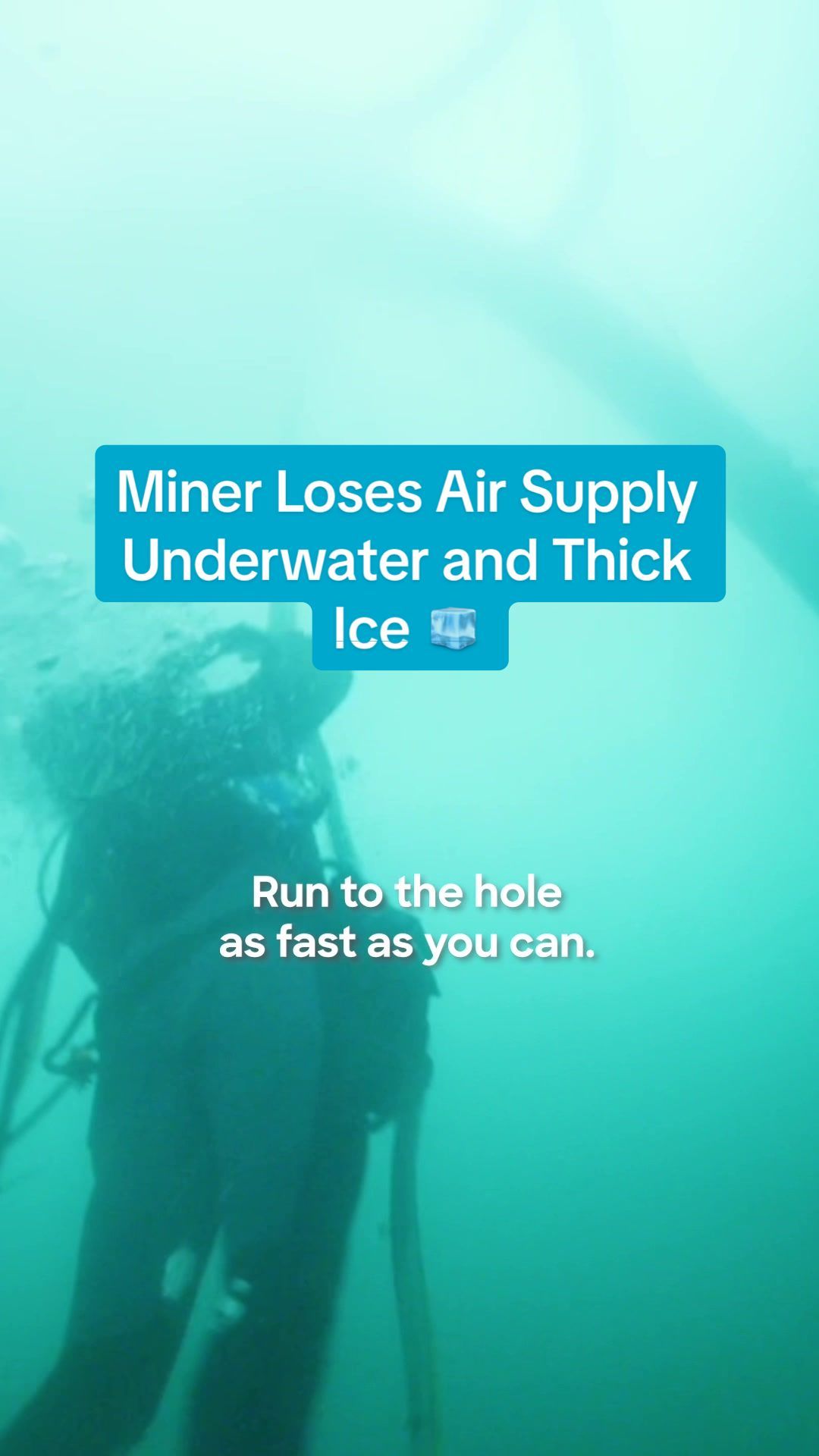 Video post by @discovery on TikTok