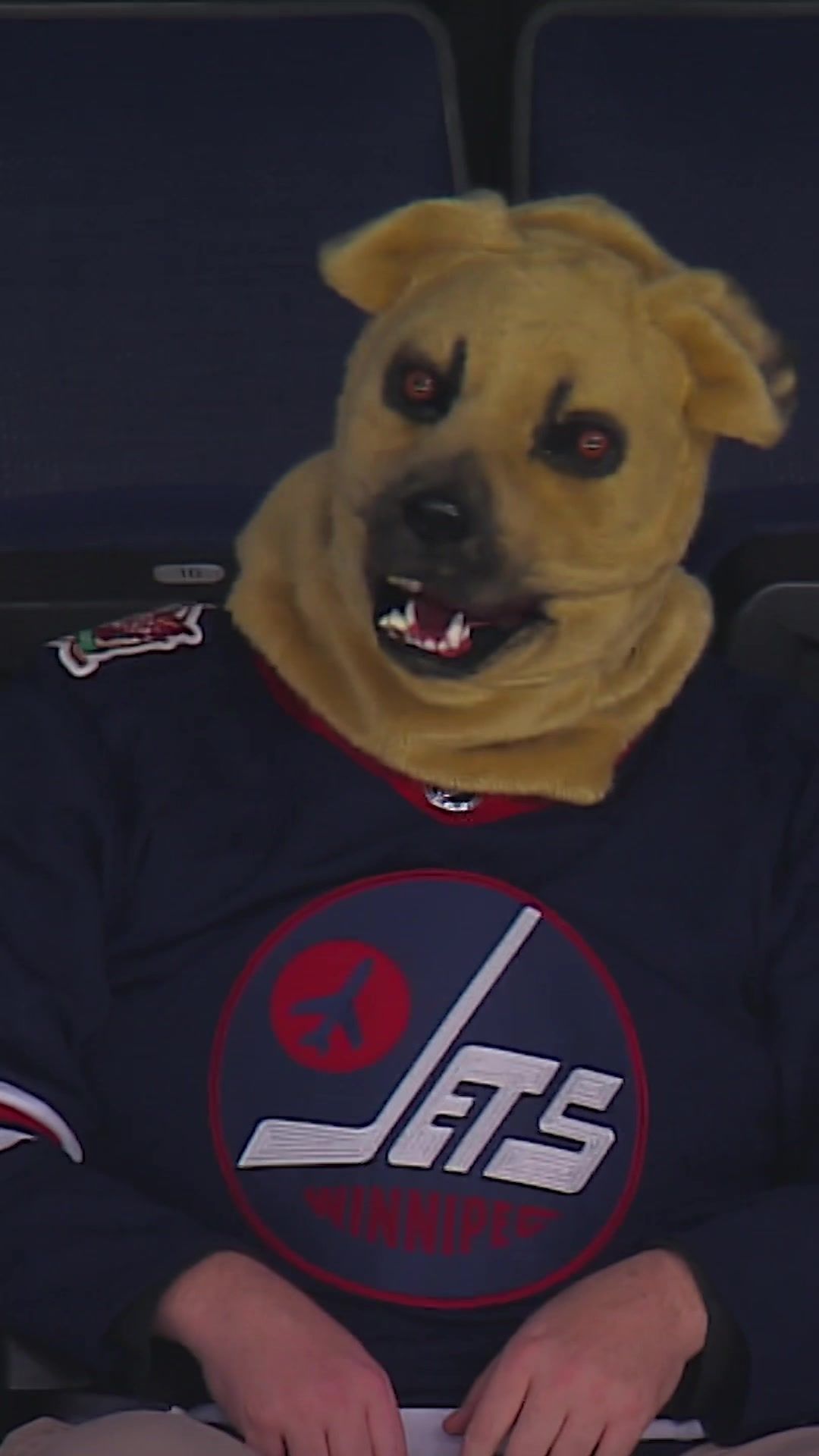 Video post by @nhljets on TikTok