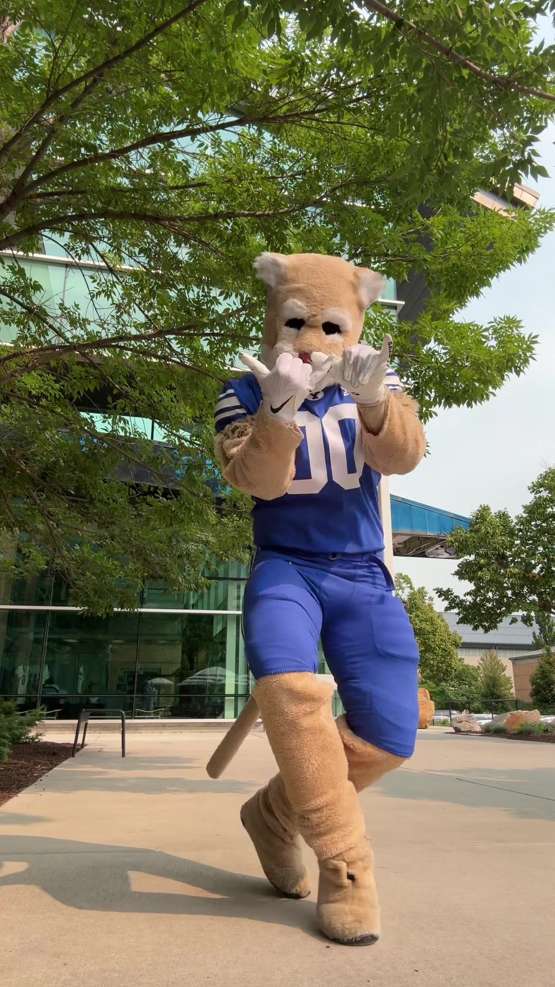 Video post by @cosmo_cougar on TikTok