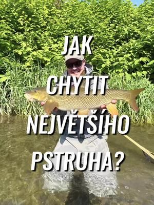 Video post by @realjonaseder on TikTok