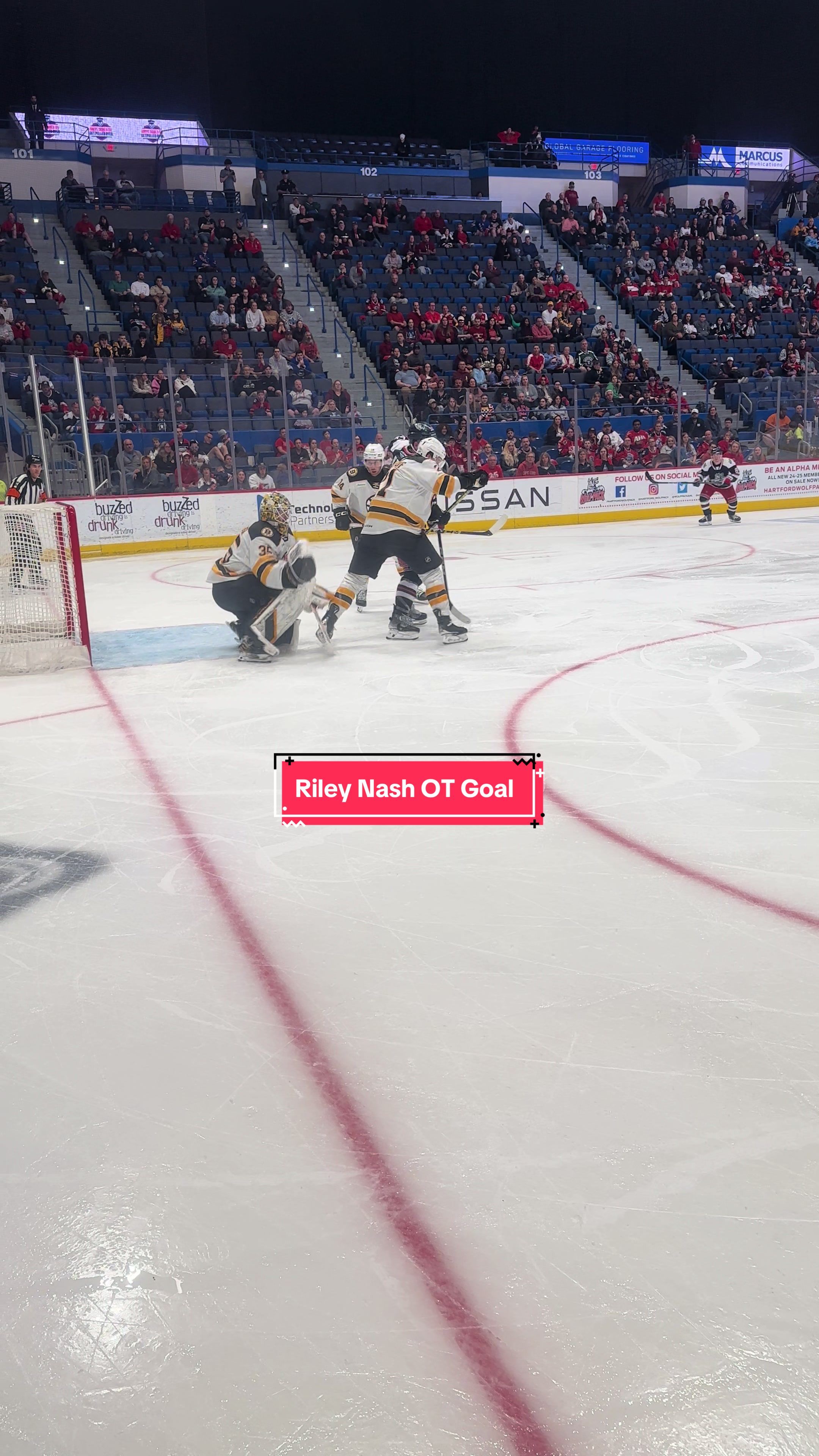 Video post by @hartfordwolfpack on TikTok