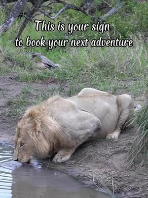 Video post by @thecoloradogal on TikTok