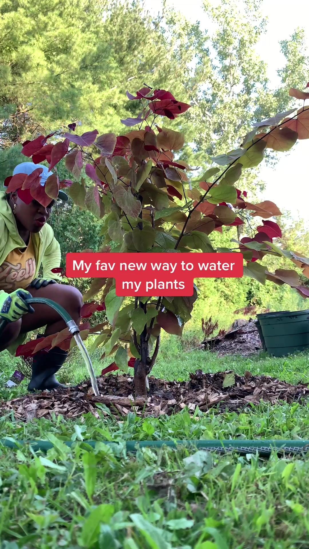 Video post by @miraclegro on TikTok
