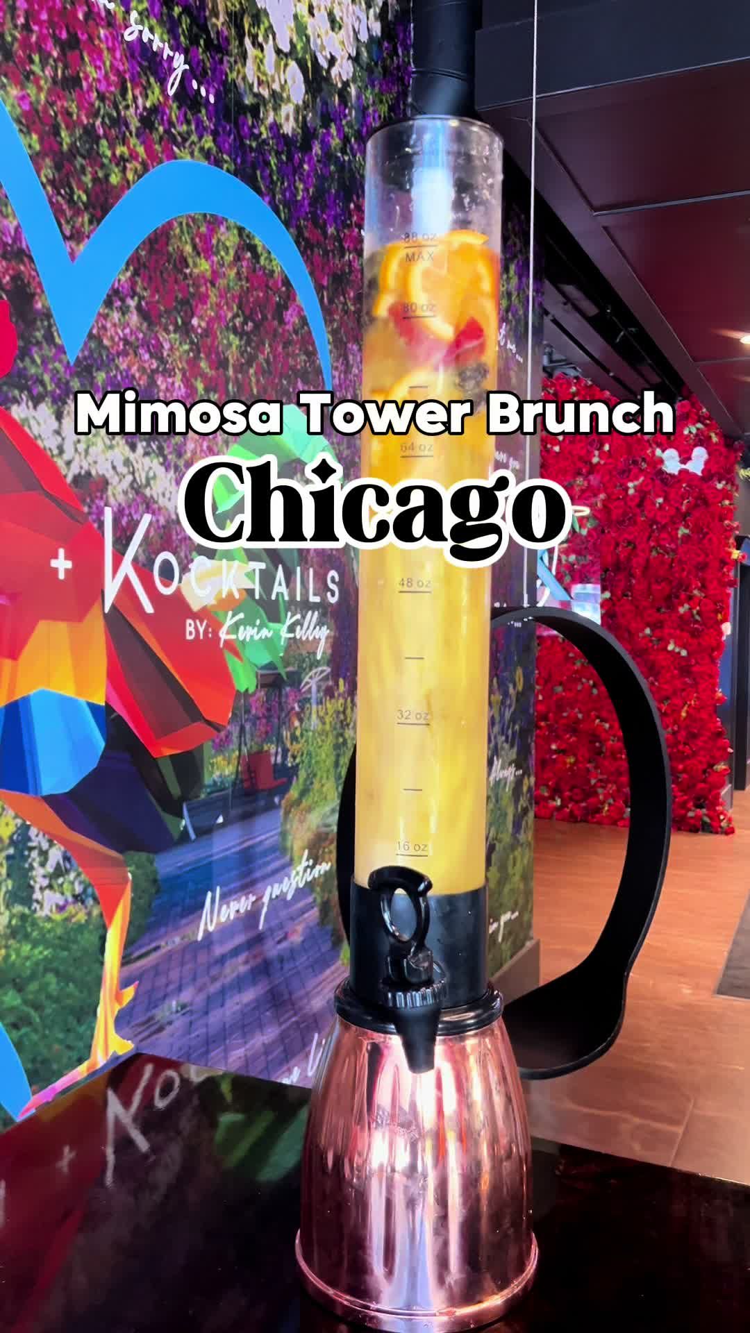 Video post by @chicago.by.ren on TikTok