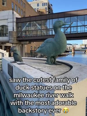 Video post by @sarahsolotravelss on TikTok