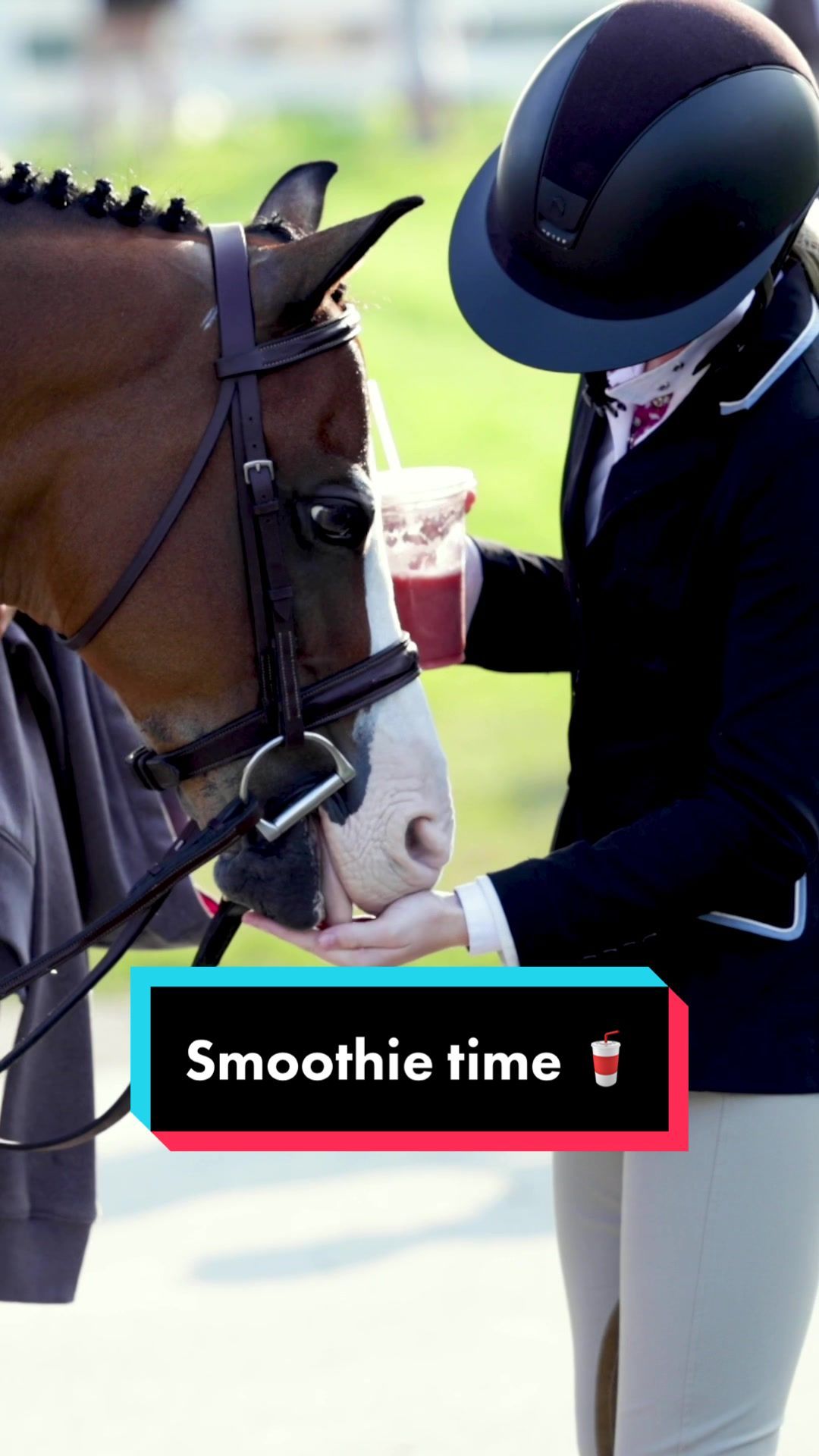 Video post by @usequestrian on TikTok