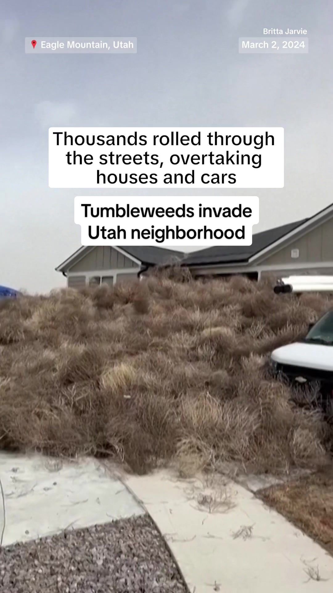 Video post by @nbcnews on TikTok