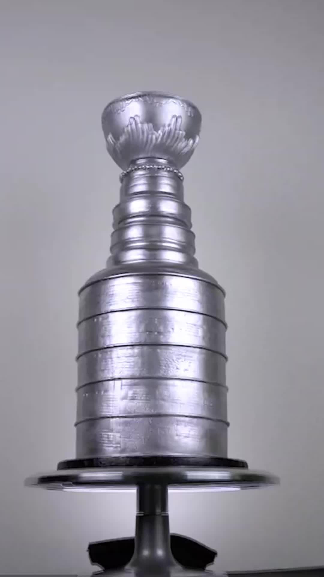 Video post by @nhl on TikTok