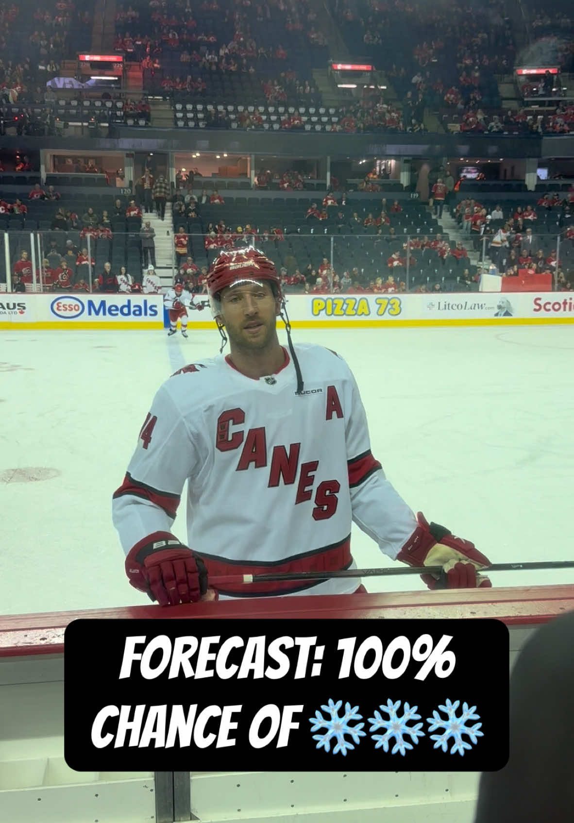 Video post by @behind_the_bench on TikTok