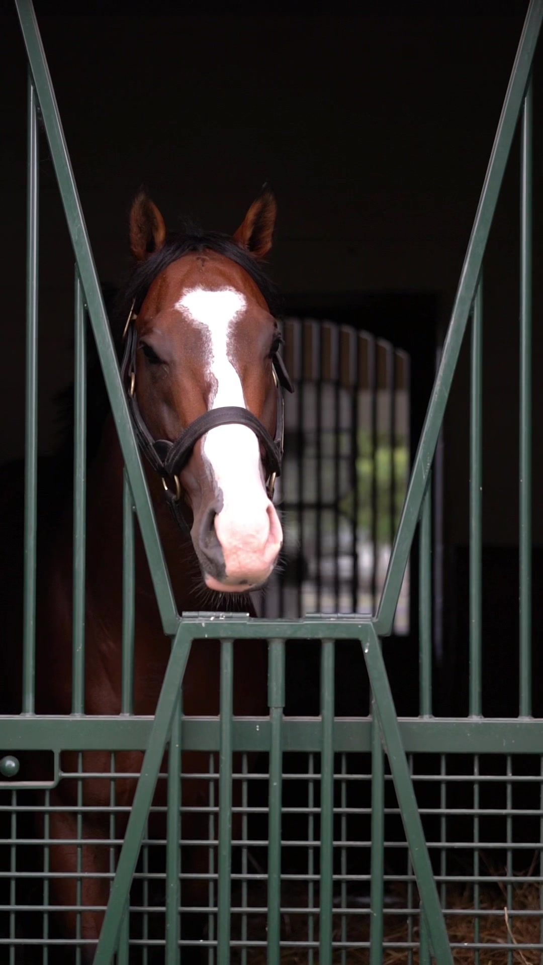 Video post by @spendthriftfarm on TikTok