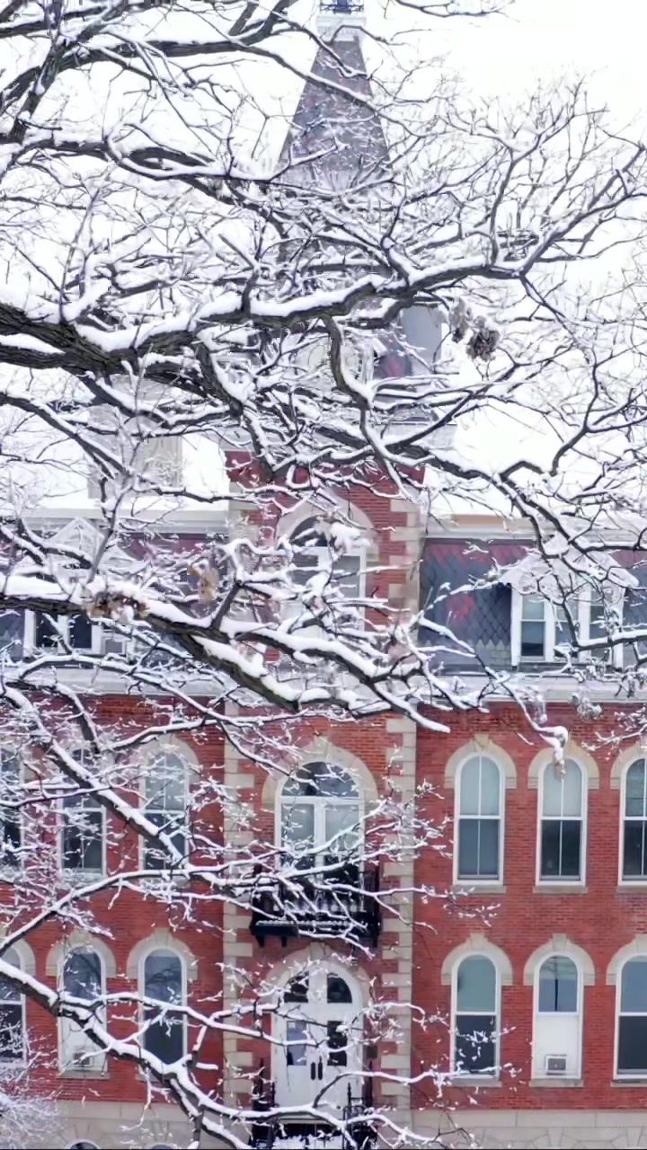 Video post by @stambroseuniversity on TikTok