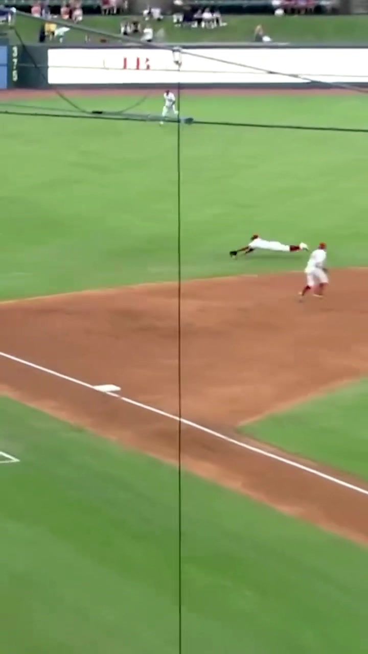 Video post by @louisvillebats on TikTok