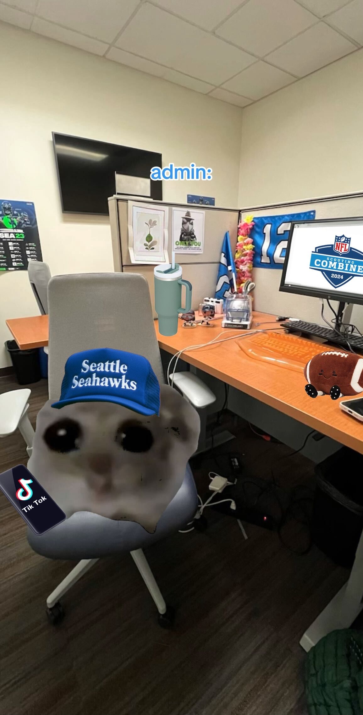 Video post by @seahawks on TikTok
