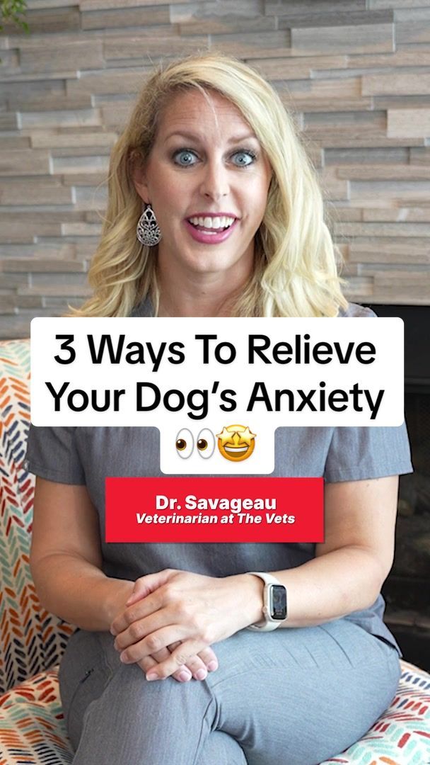 Video post by @thevets_official on TikTok