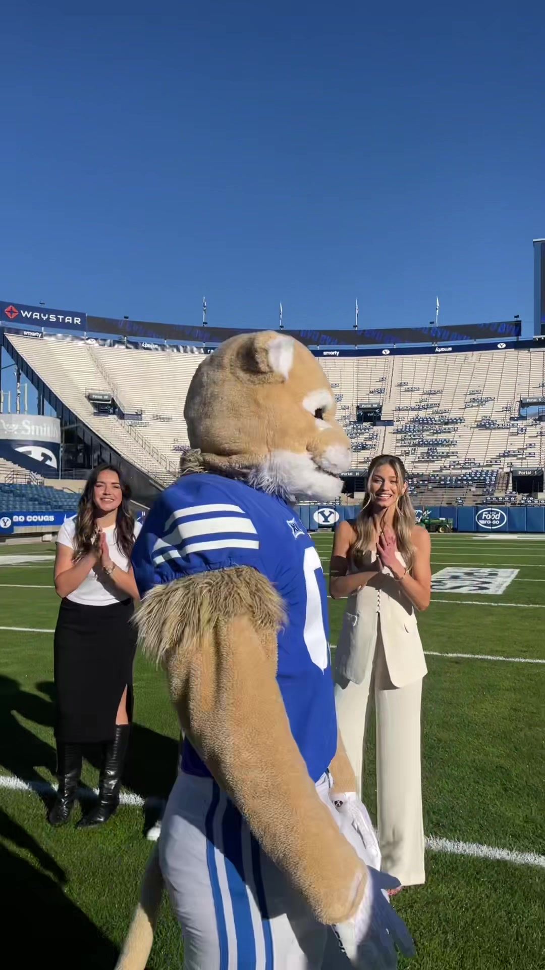 Video post by @cosmo_cougar on TikTok