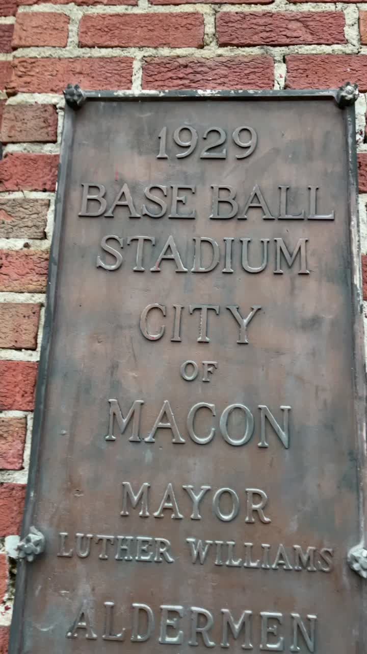 Video post by @gomaconbacon on TikTok