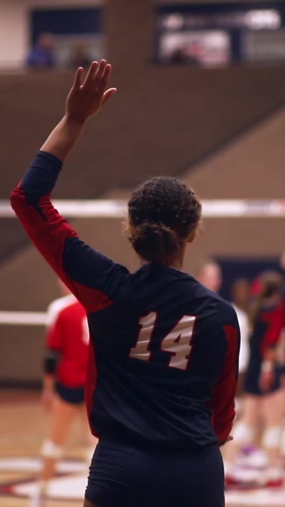 Video post by @vballtactics on TikTok