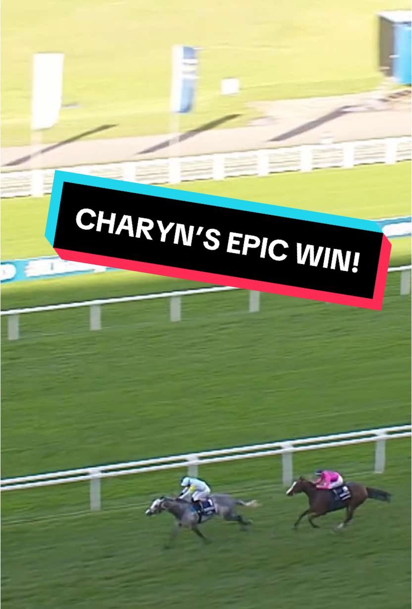 Video post by @worldhorseracing on TikTok