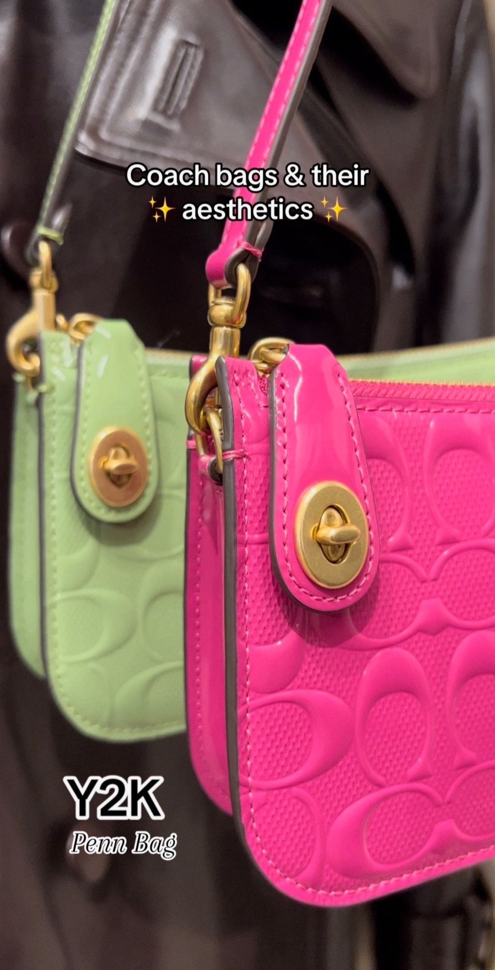 Image post by @coach on TikTok