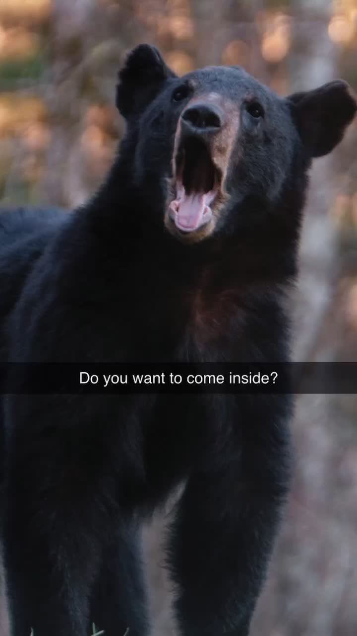 Video post by @maxrenfro on TikTok