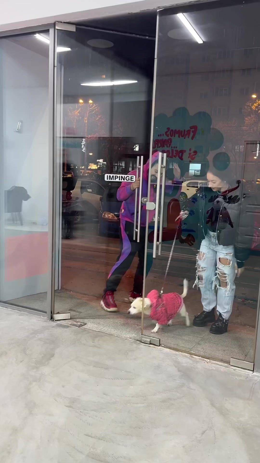 Video post by @levo.animals on TikTok