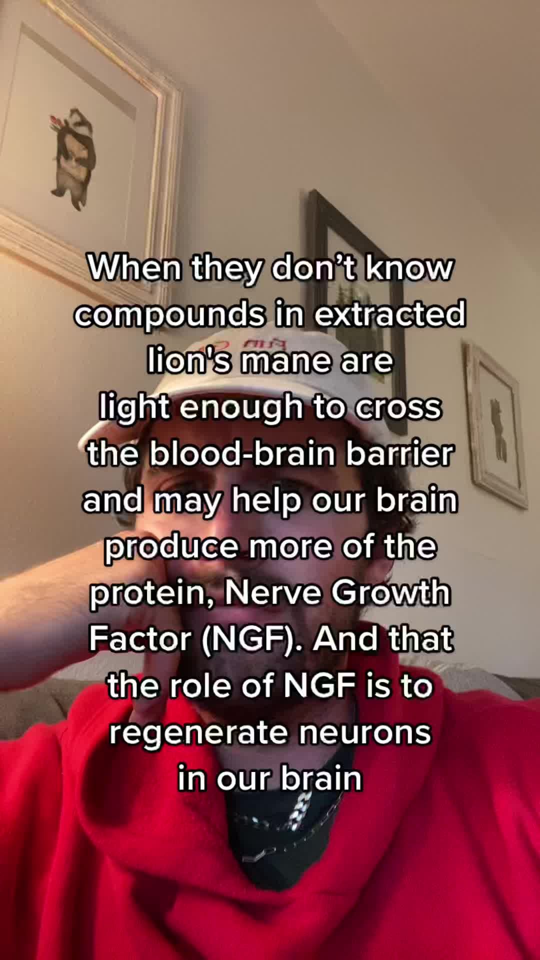 Video post by @foursigmatic on TikTok