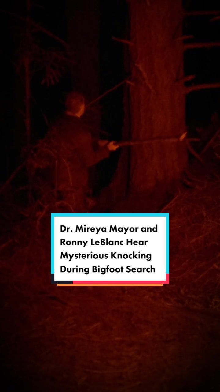 Video post by @travelchannel on TikTok