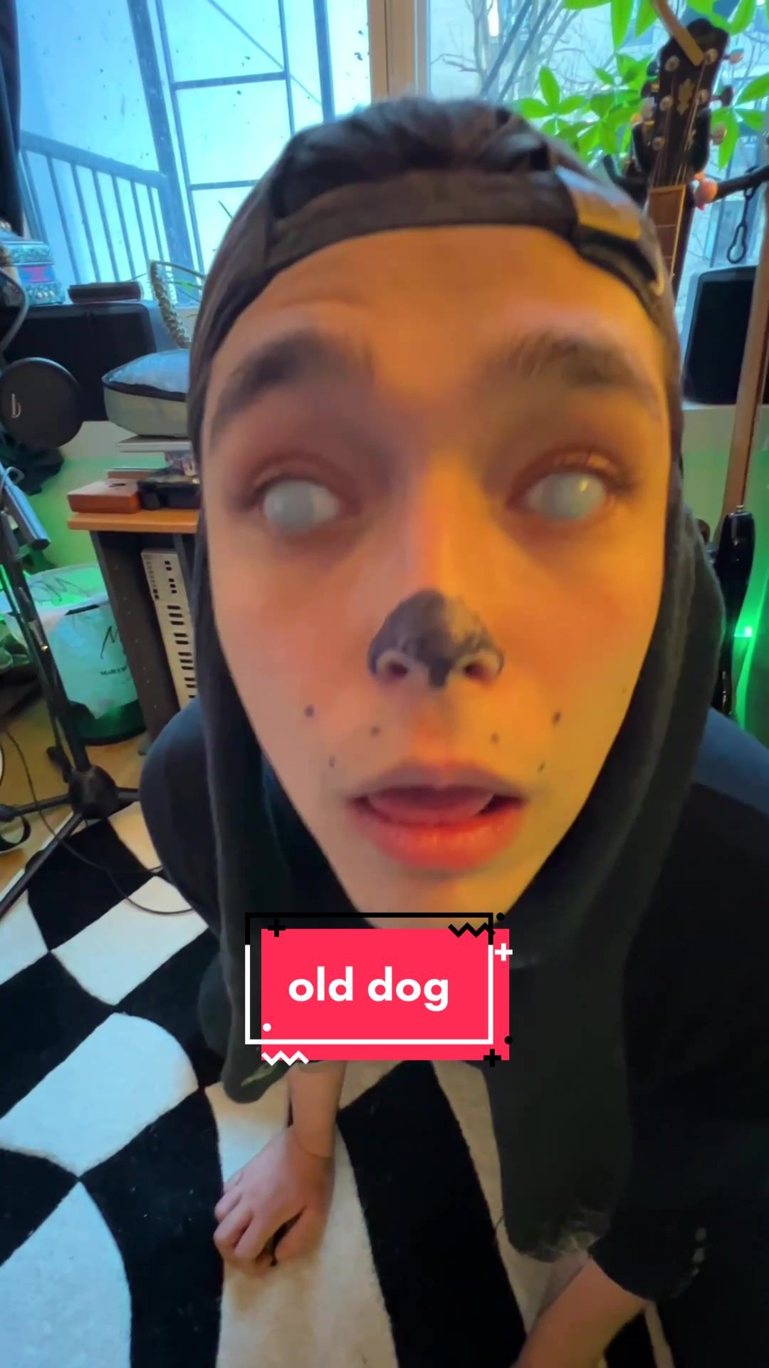 Video post by @twotreehill on TikTok