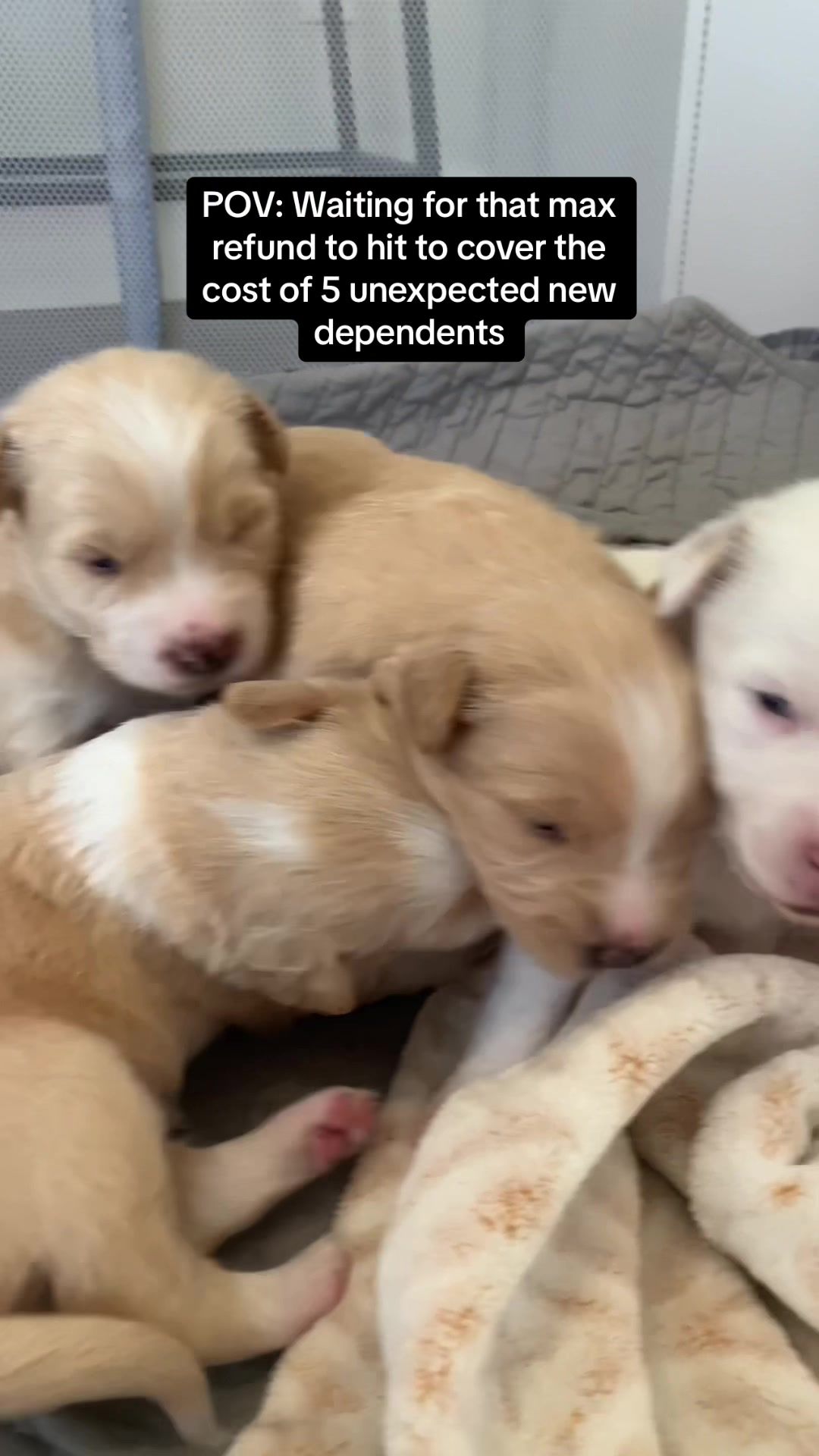 Video post by @hrblock on TikTok