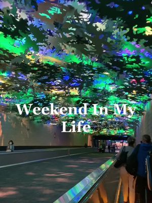 Video post by @itsdaniclardy on TikTok