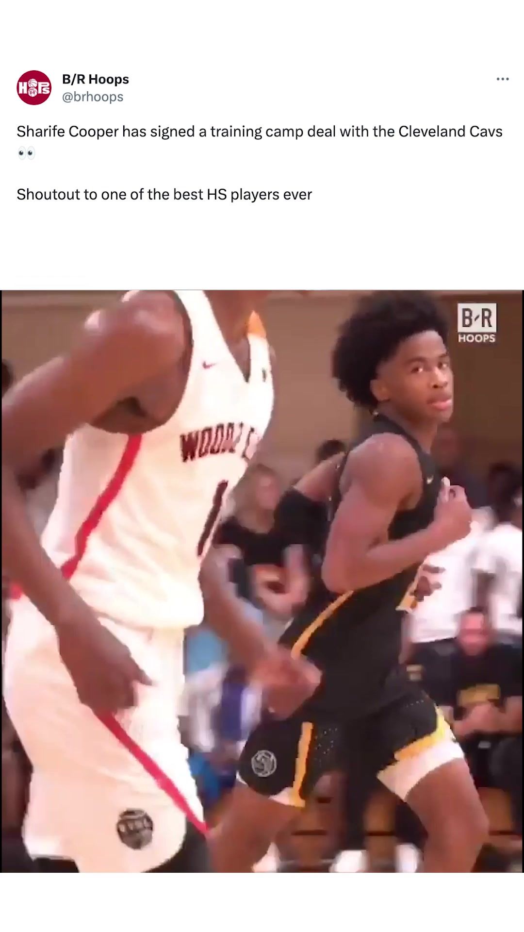 Video post by @brhoops on TikTok