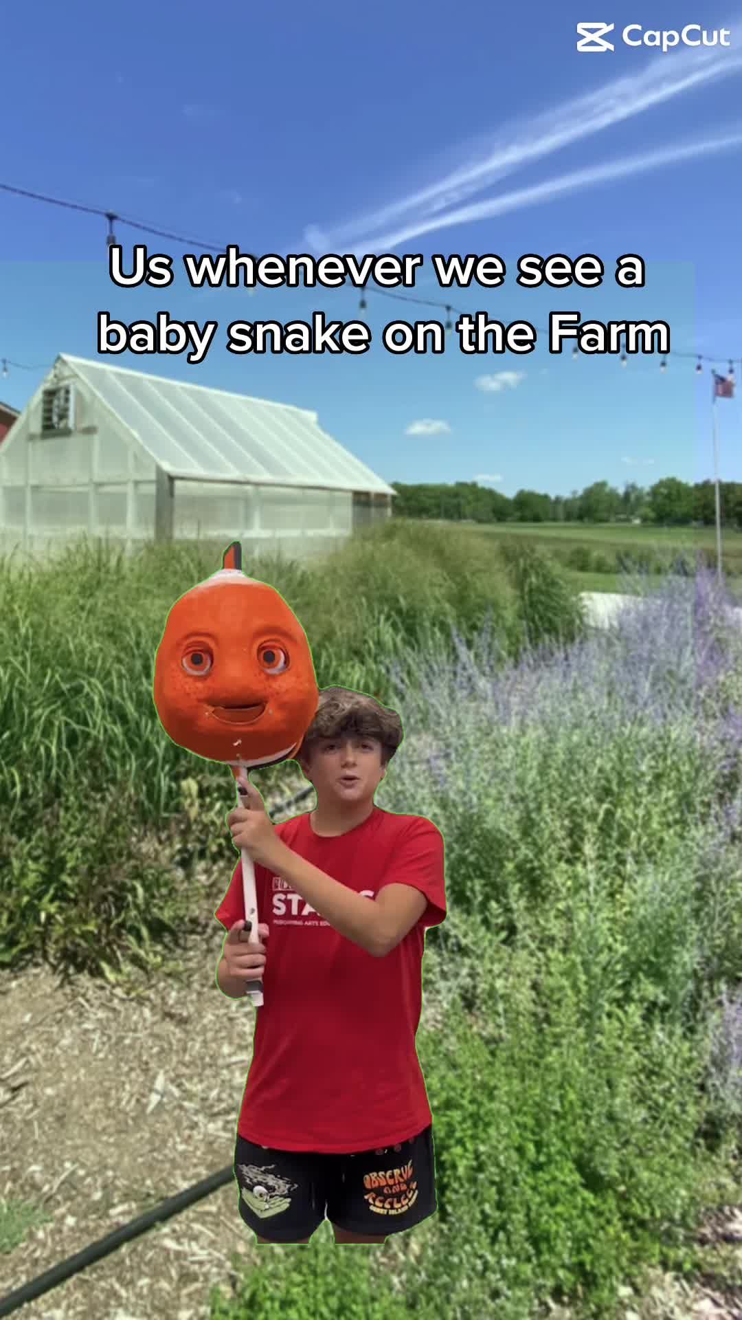 Video post by @rosefarmstead on TikTok