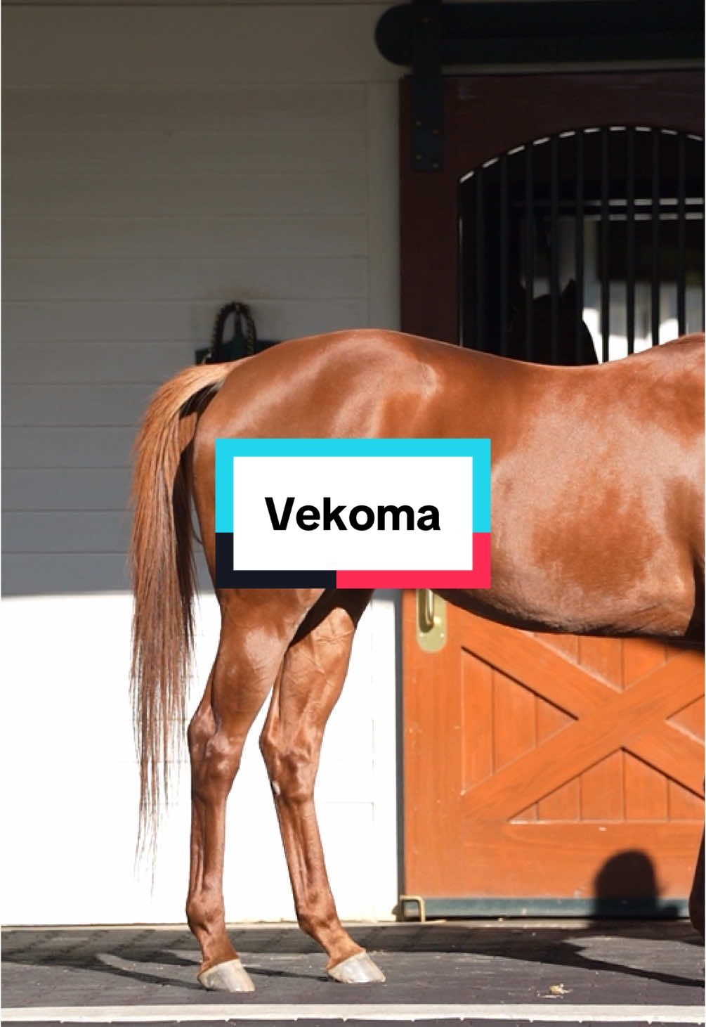 Video post by @spendthriftfarm on TikTok