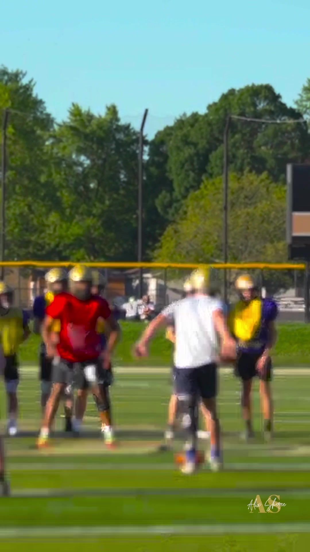 Video post by @alixshereestudio on TikTok