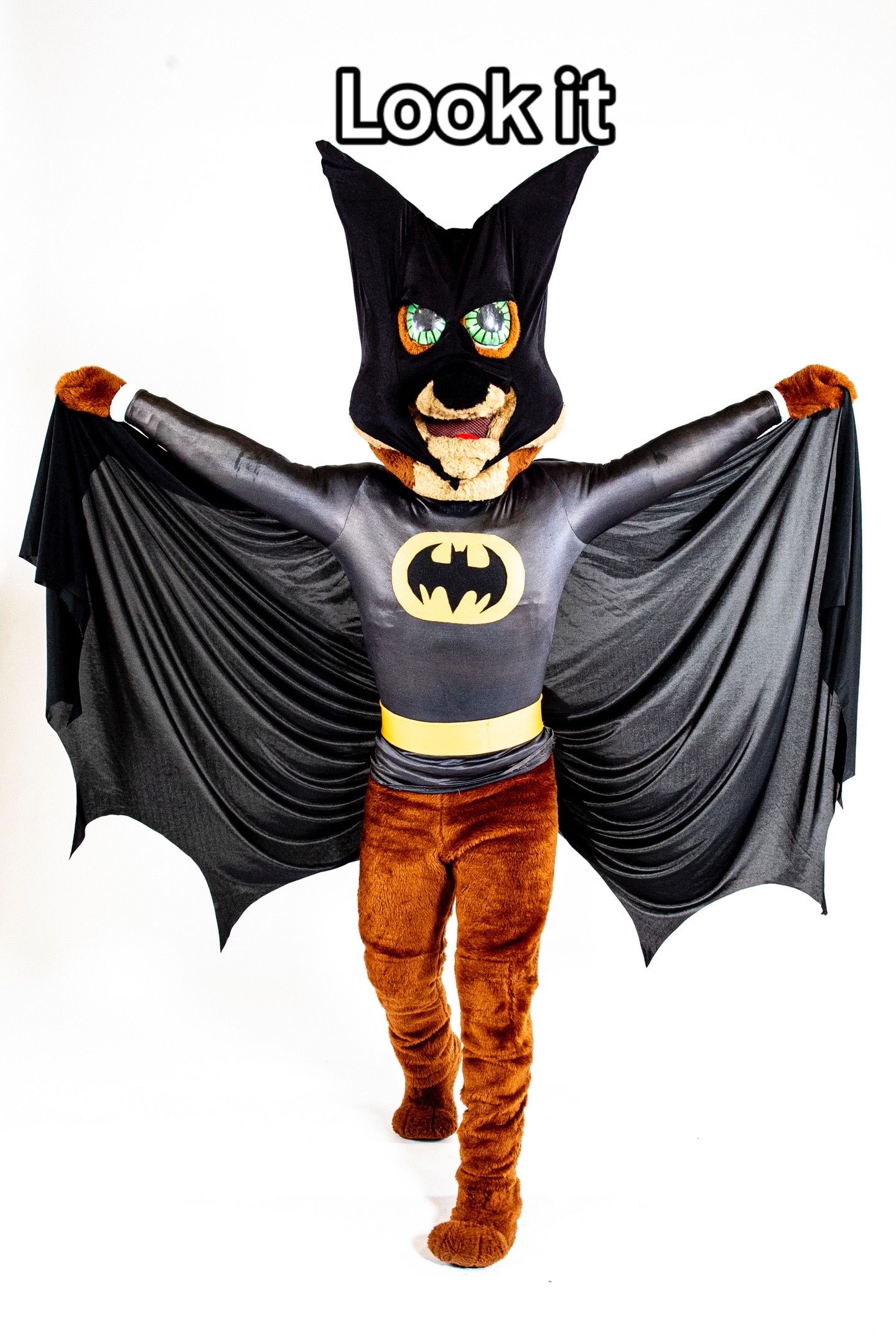 Image post by @spurs on TikTok