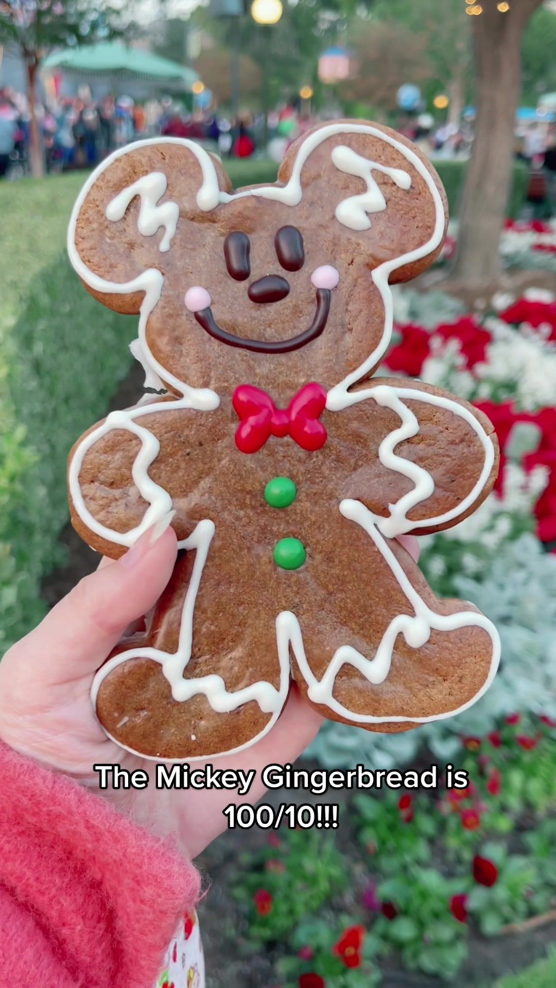 Video post by @snugzmeow on TikTok