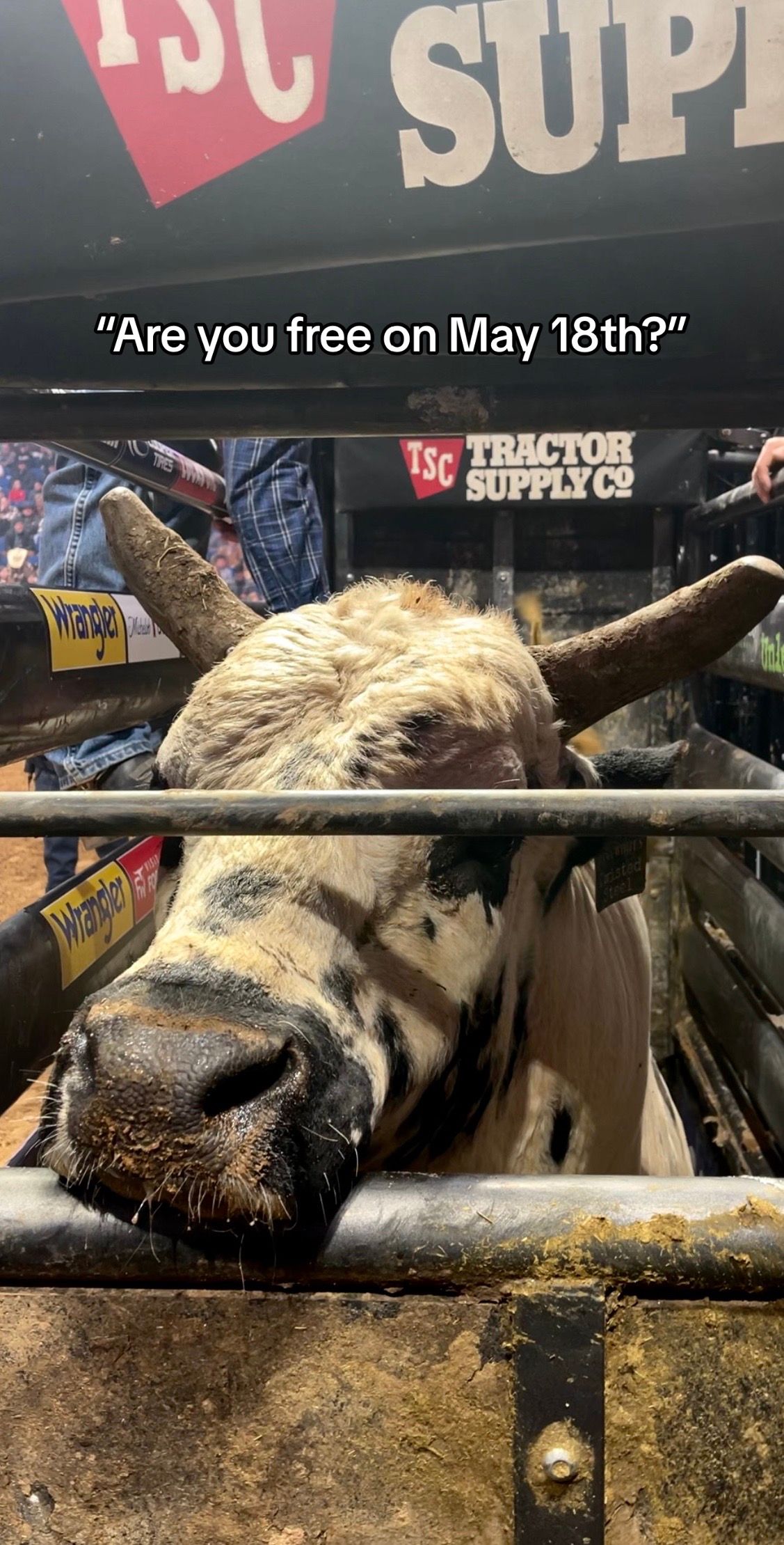 Image post by @pbr on TikTok