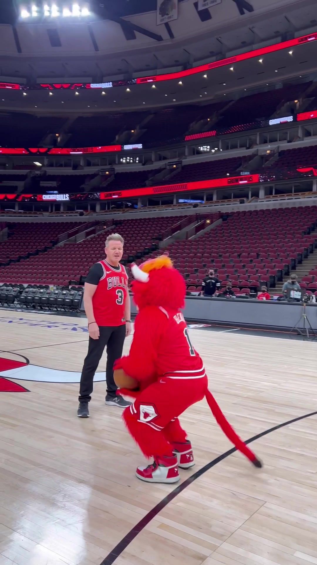 Video post by @bennythebull on TikTok