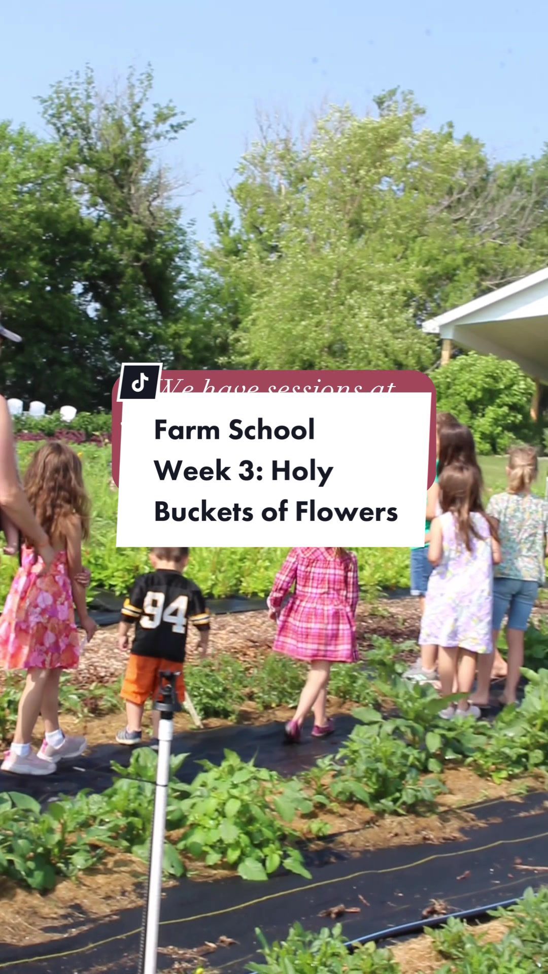 Video post by @rosefarmstead on TikTok