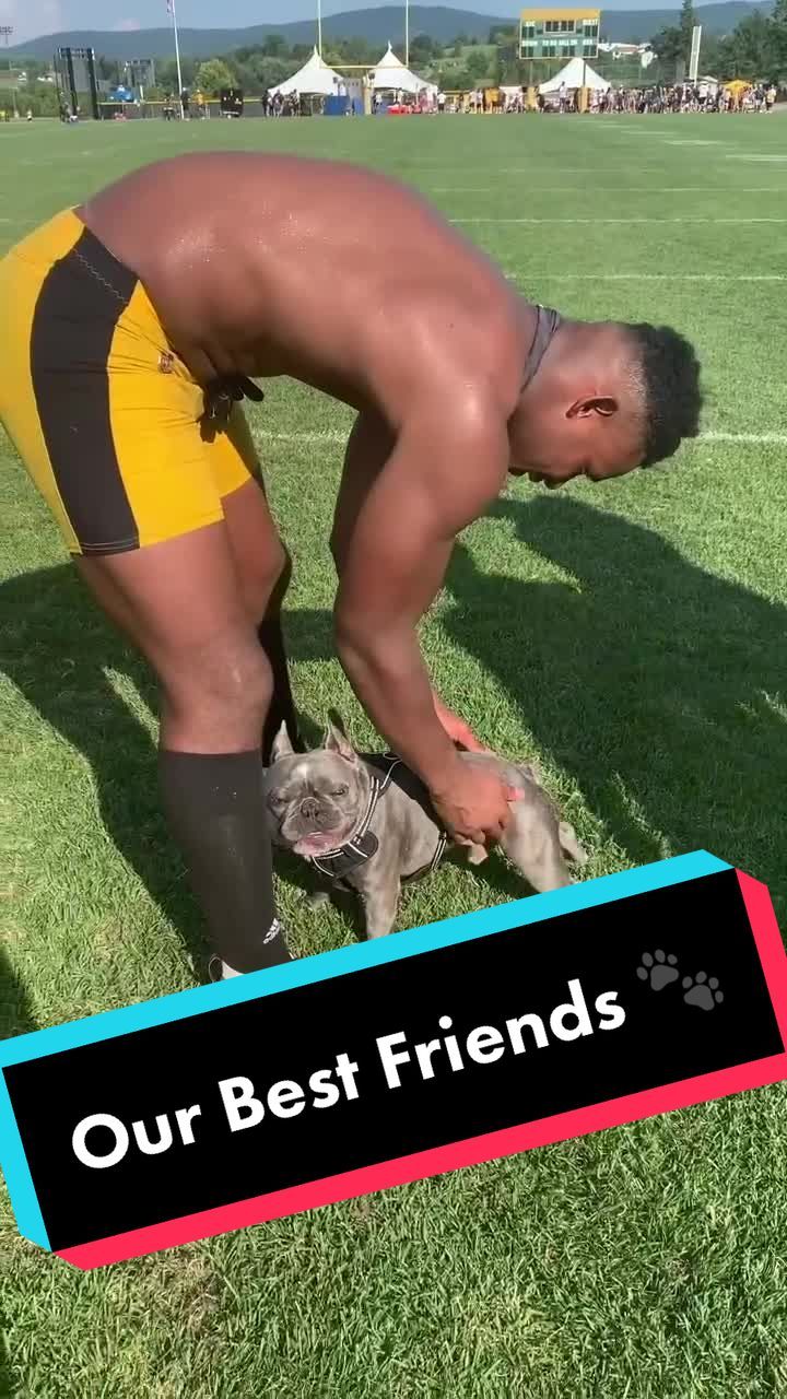 Video post by @steelers on TikTok