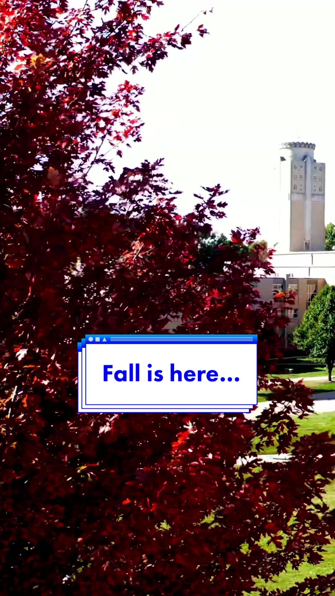 Video post by @stambroseuniversity on TikTok