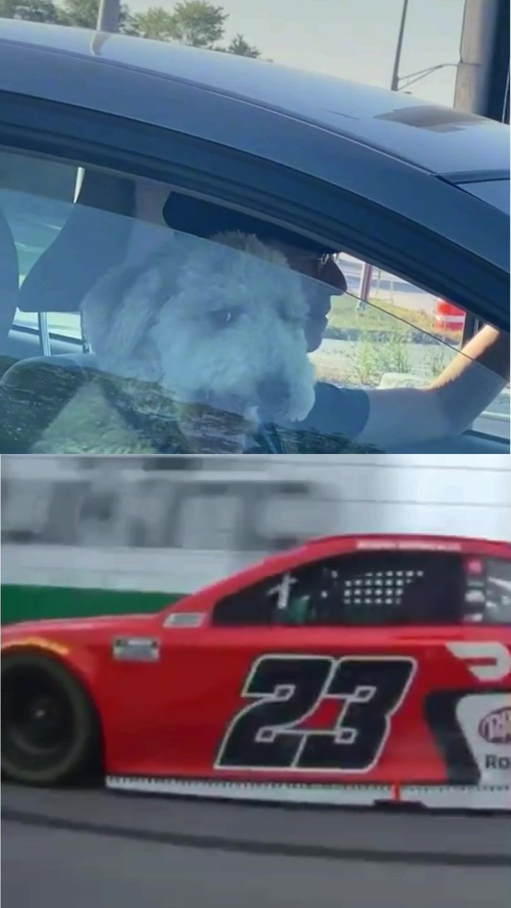 Video post by @nascar on TikTok