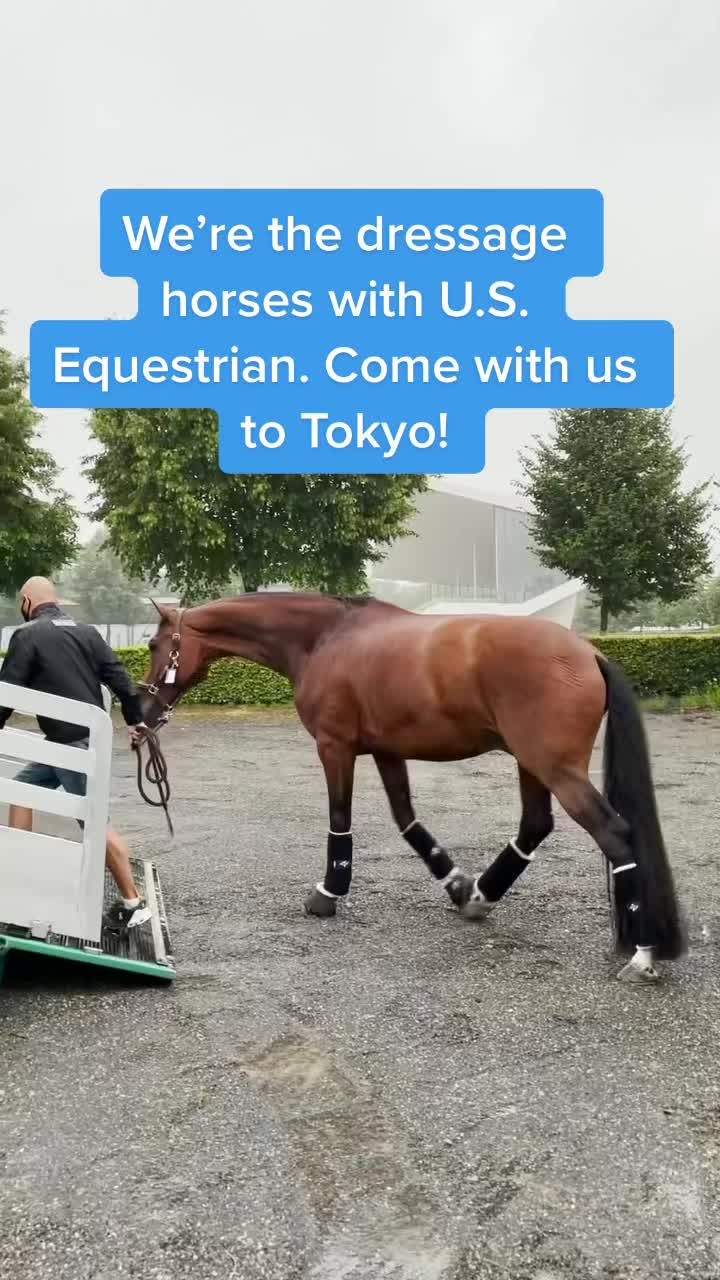 Video post by @nbcolympics on TikTok