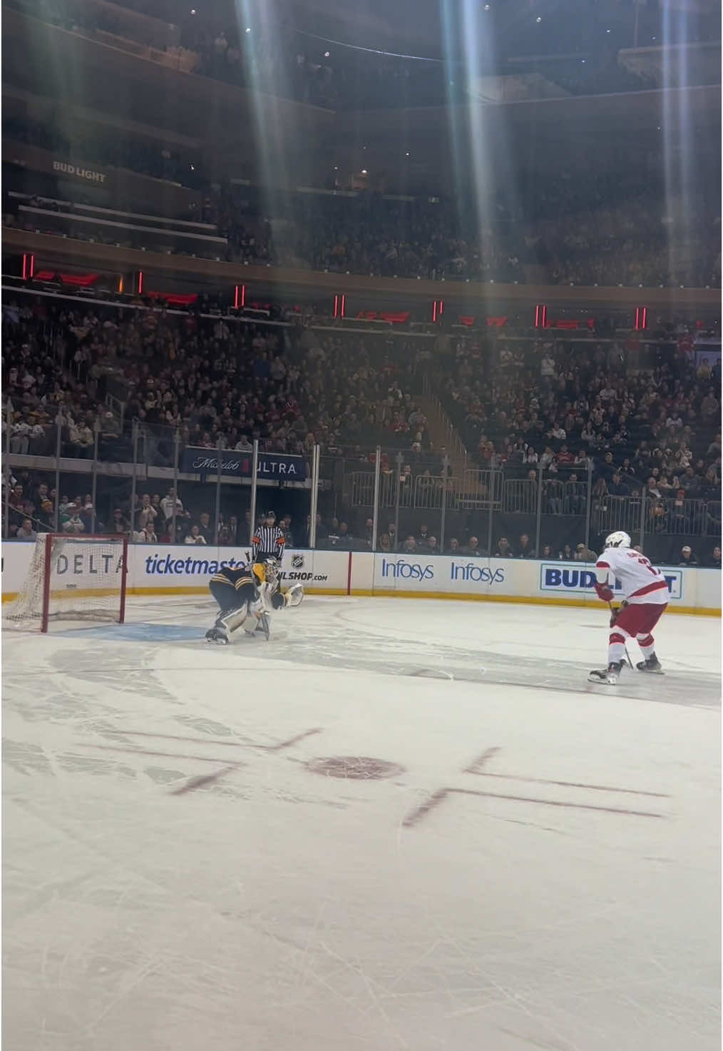 Video post by @ariana_ottrando on TikTok