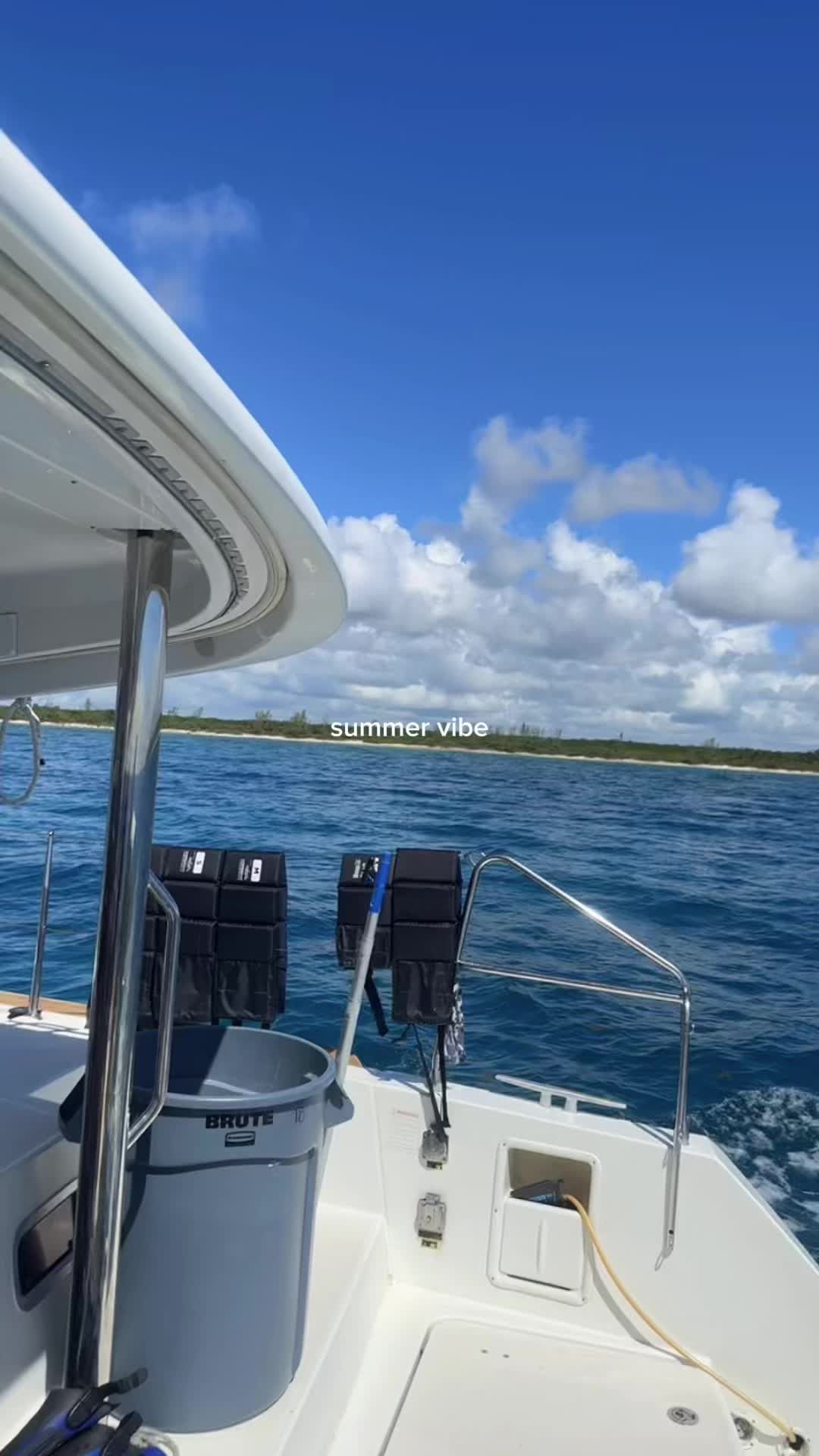 Video post by @elyssamargarett on TikTok