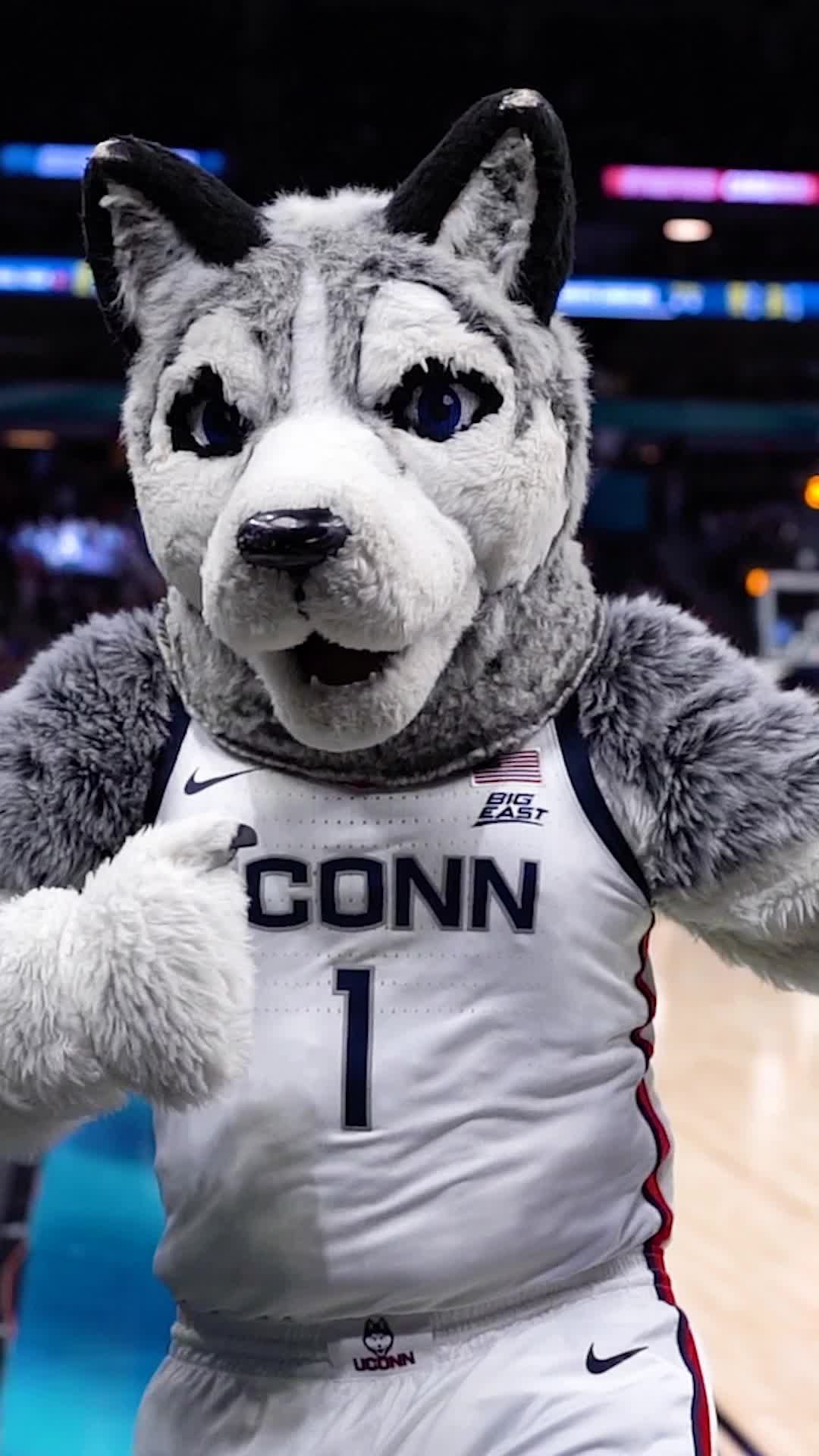 Video post by @marchmadnesswbb on TikTok
