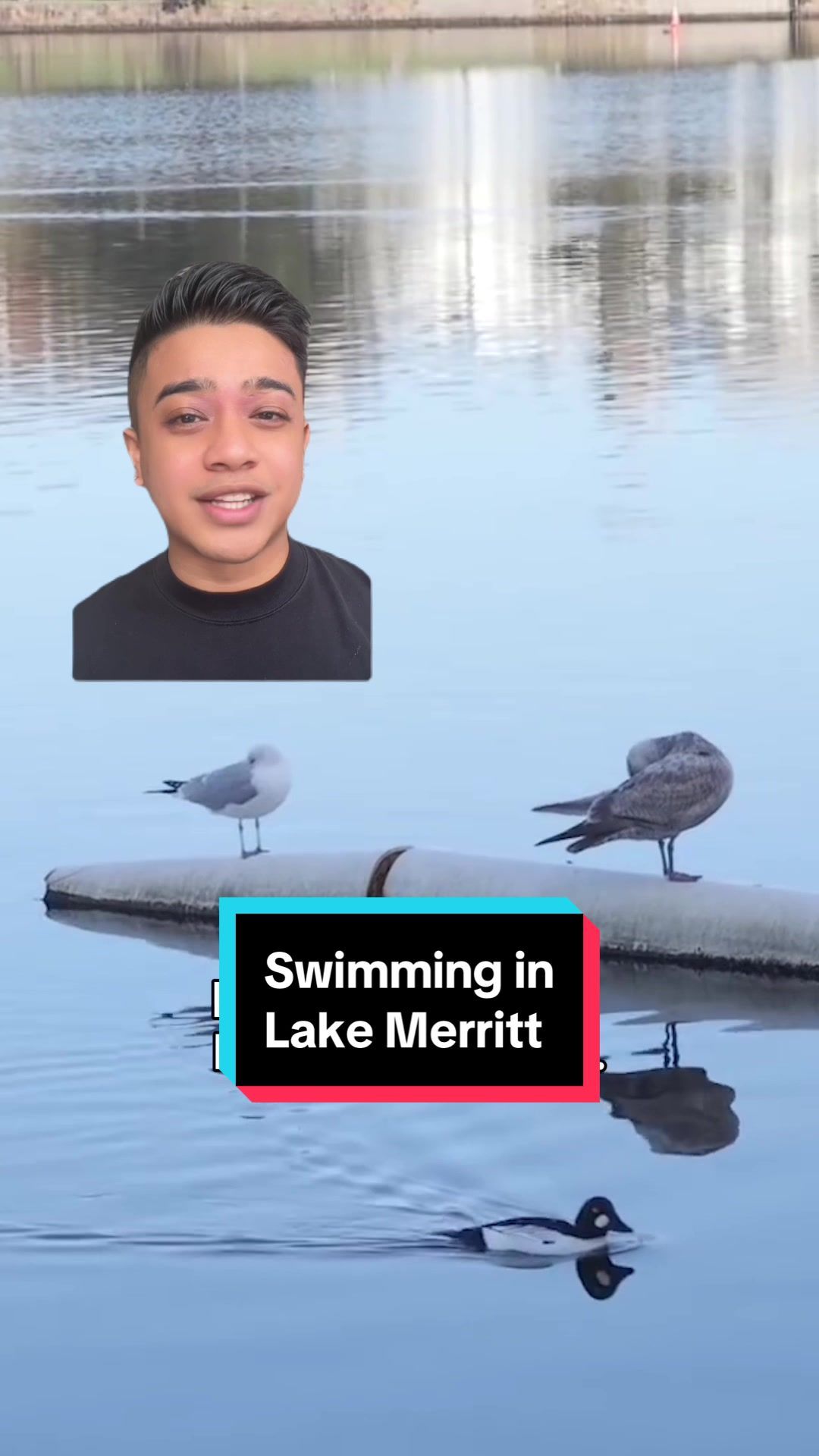 Video post by @kqedofficial on TikTok